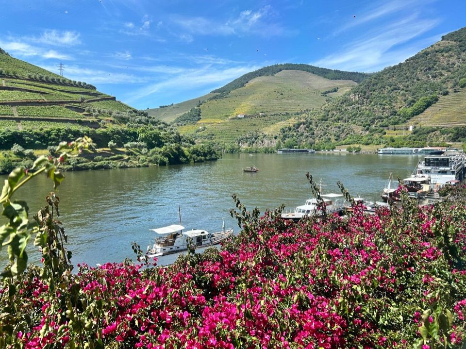 Vignobles en terrasses de la vallee du Douro