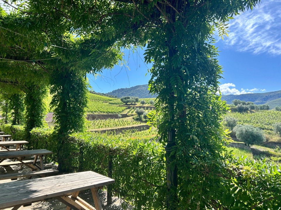 Vintage House Hotel & Quinta da Roeda