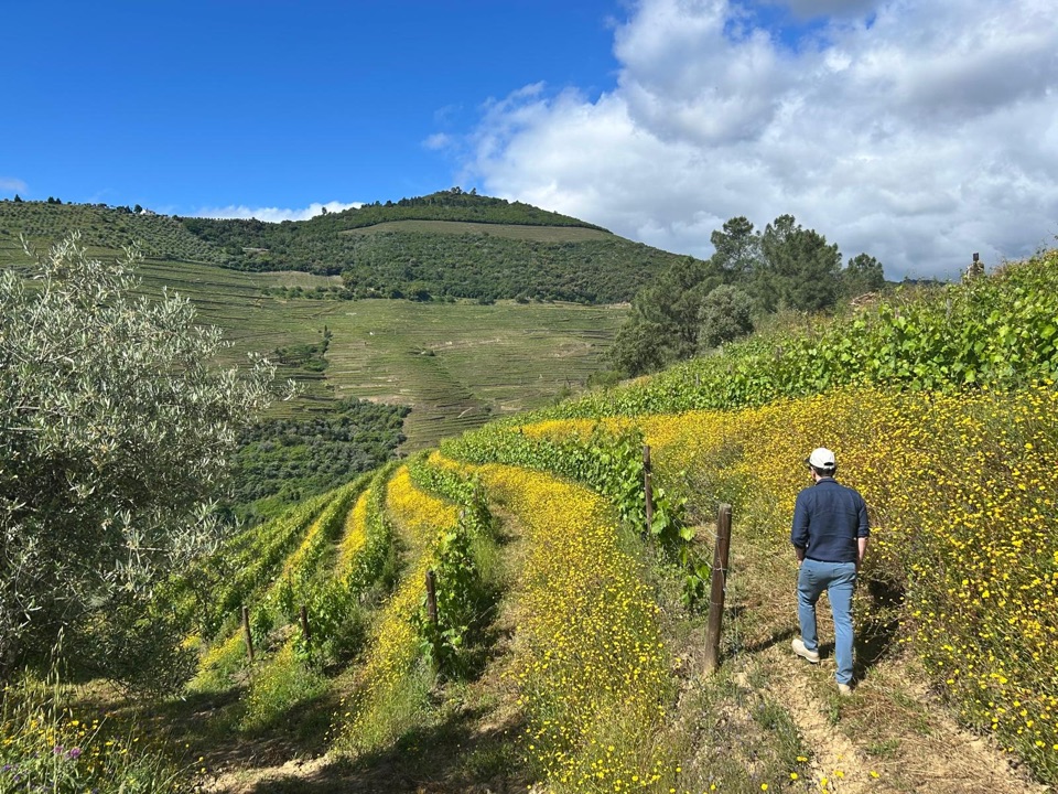 Vintage House Hotel & Quinta da Roeda